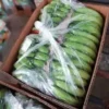 fresh-green-cavendish-high-quality-banana-export-to-china