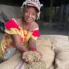 cameroun-green-sundry-arabica-coffee-beens-for-export-to-china Green Sundry Arabica Coffee Beans