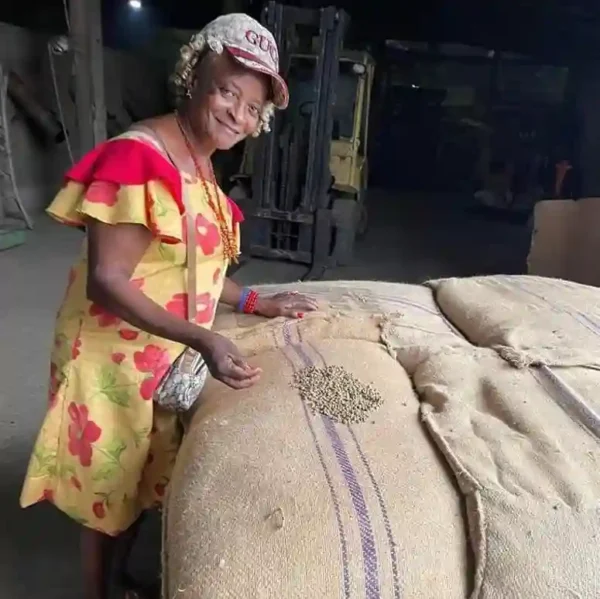 green-sundry-arabica-coffee-beans-made-in-nature-for-export-in-china green-sundry-arabica-coffee-beans-made-in-nature-for-export-to-china