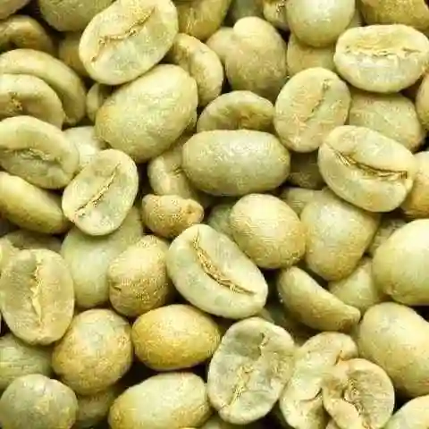 green-sundry-coffee-natural-quality-exporting-to-china green-sundry-coffee-made-natural-quality-exporting-to-china