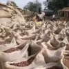 online-fermented-sundry-cocoa-shop-in-china natural-fermented-sundry-cocoa-shop-in-china