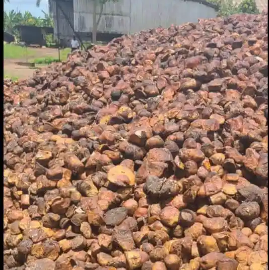 rubber-cup-lumps-export-to-china buy-natural-rubber-cup-lumps-at-moderate-pricing-to-export-in-china