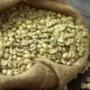 unprocess-natural-green-sundry-arabica-coffee-beans-for-export-in-china natural-green-sundry-arabica-coffee-beans-for-export-in-china