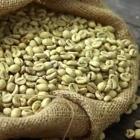 natural-green-sundry-arabica-coffee-beans-for-export-in-china