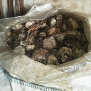 Natural Rubber Cup Lumps