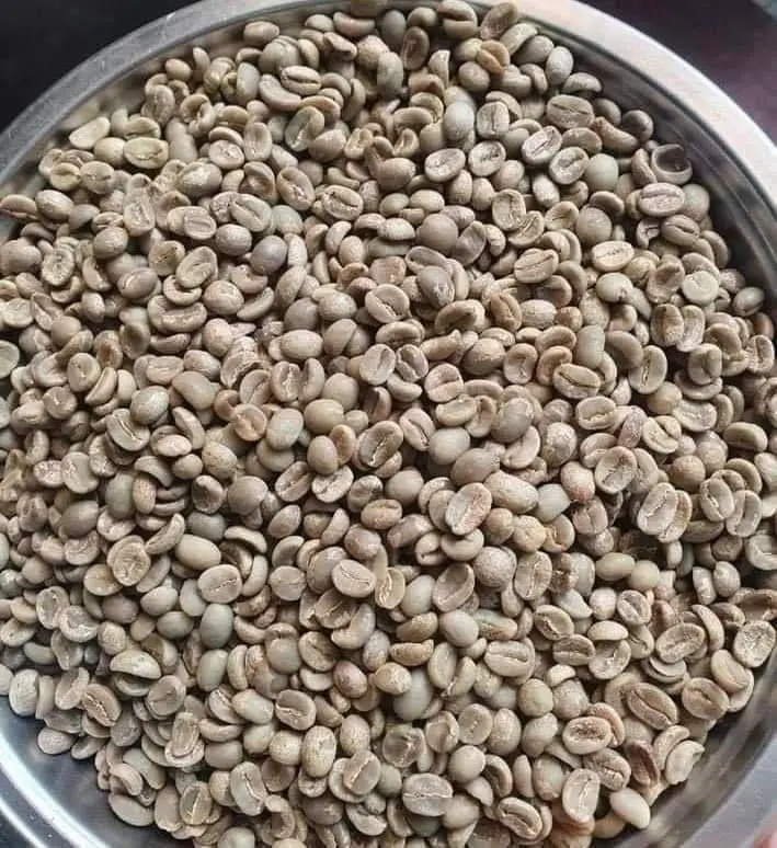 Coffee Beans