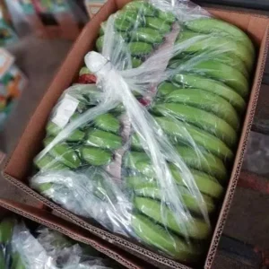 Fresh Green Cavendish Banana