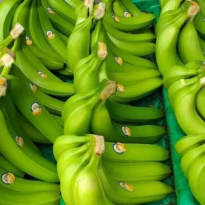 Fresh Green Cavendish Banana